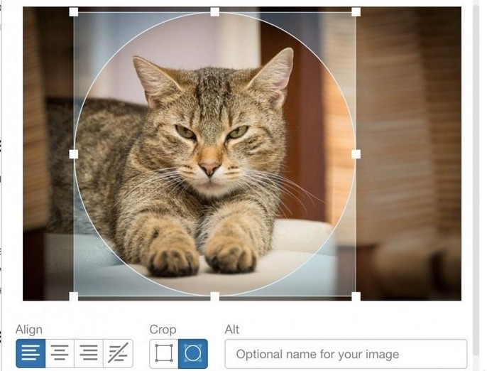 SiteContent Image Cropping