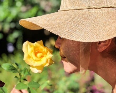 Smell Smell
