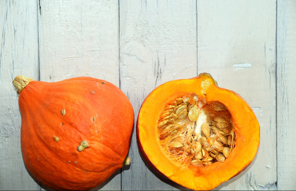 what kind of vegetables are good for dogs - pumpkin what kind of vegetables are good for dogs - pumpkin