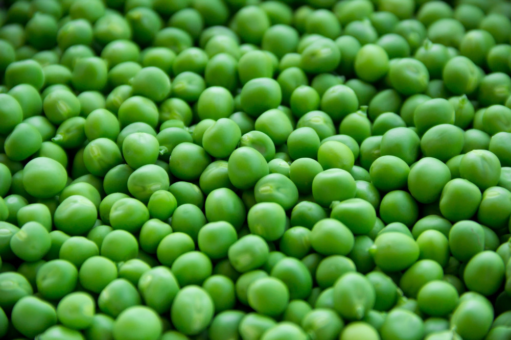 what kind of vegetables are good for dogs - peas