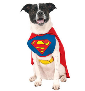 awesome dog costume - superman