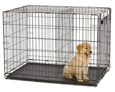 how big should my dog crate be - crate with divider