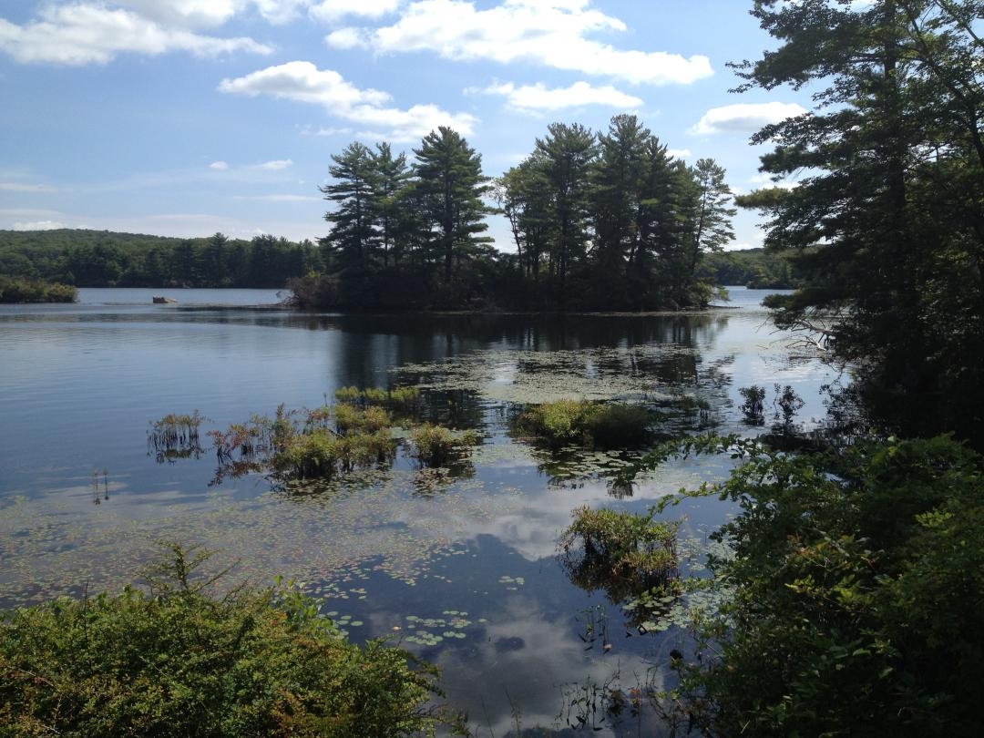 Sunday’s Entertainment Blog 17 Views of New York You Haven’t Seen