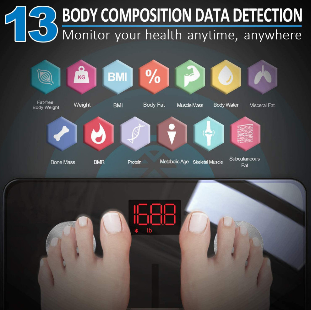 13 Body Compositions 13 Body Compositions