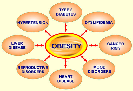 Obesity Disease