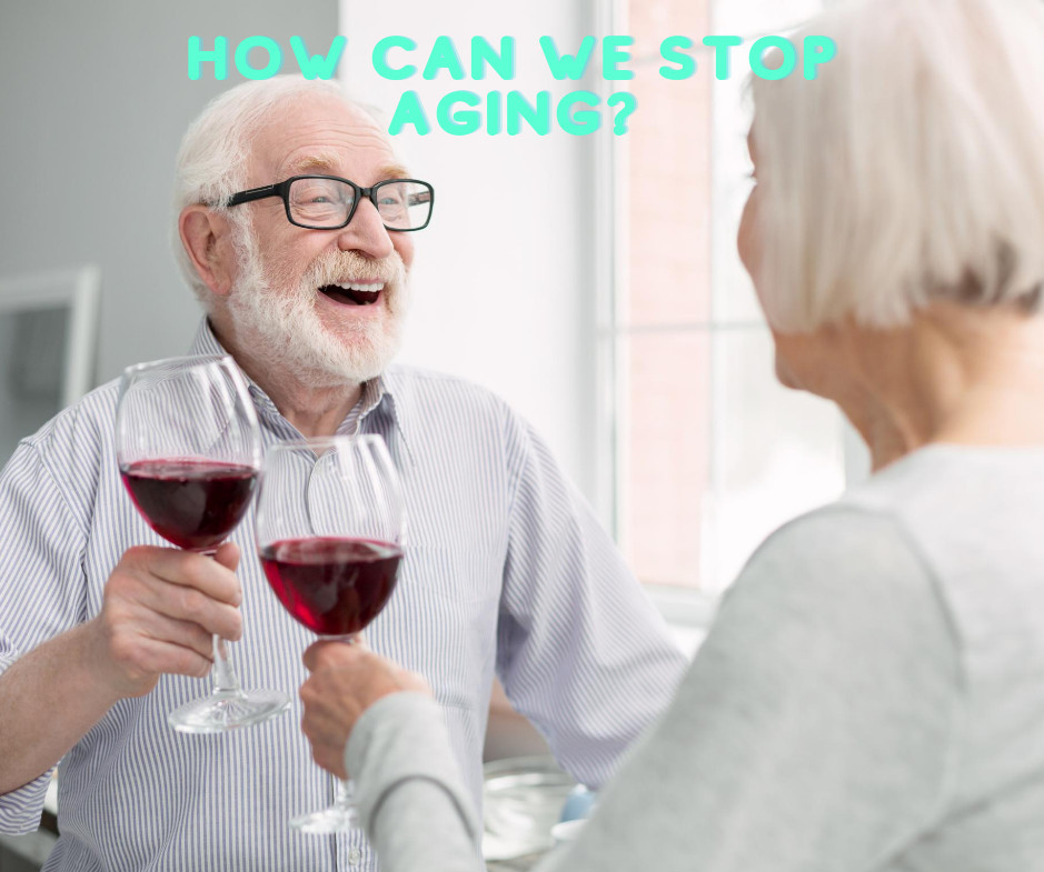 How Can We Stop Ageing