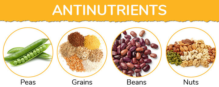 Anti Nutrients