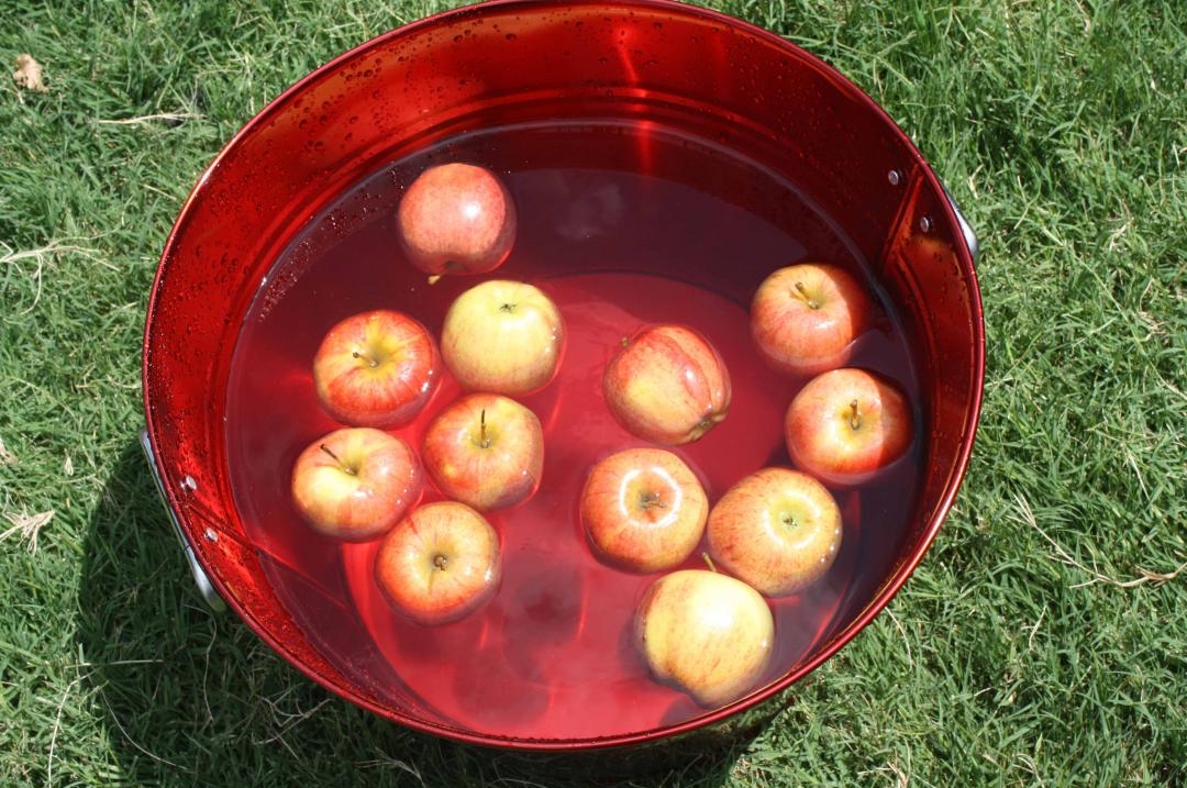 A red bucket filled with water and apples for bobbing