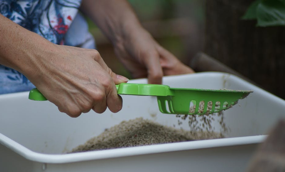 5 things you can't do while pregnant