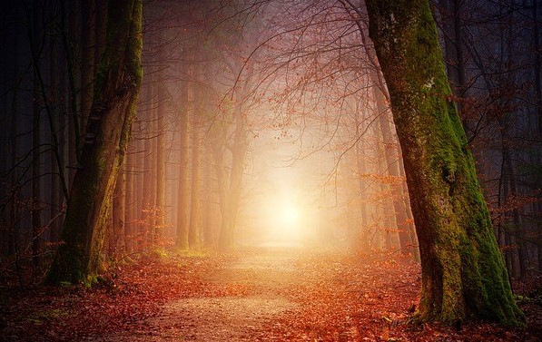 The magic of el camino de santiago - ananda soul travel