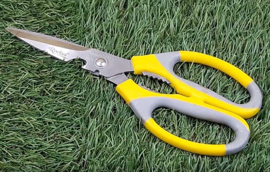 Garden Pruning Shears Wine Cellar