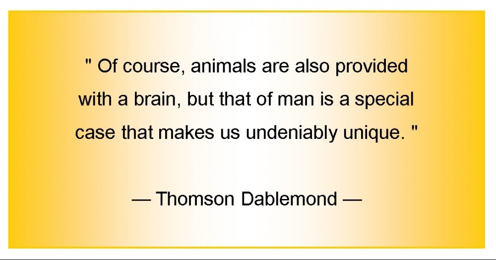 Conclusion on Interesting Facts About the Brain