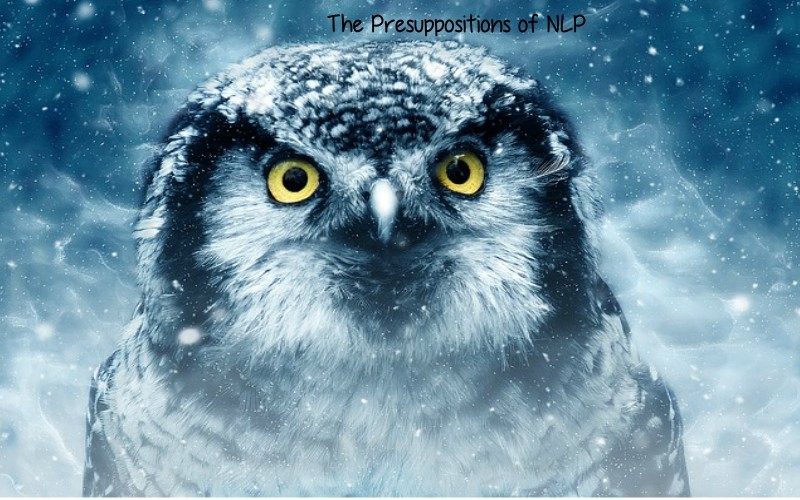 The Presuppositions of NLP
