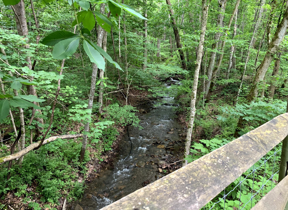 Jackson River Scenic Trail Streams