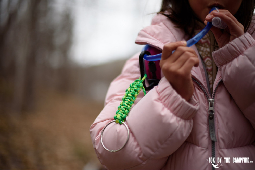 stem science activities