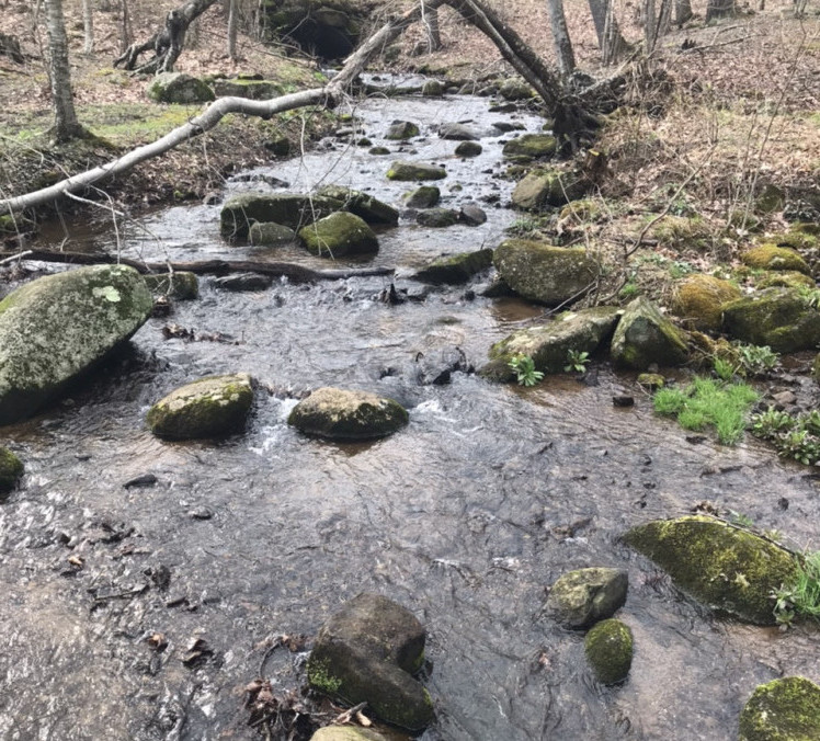 Stream at peaks of otter