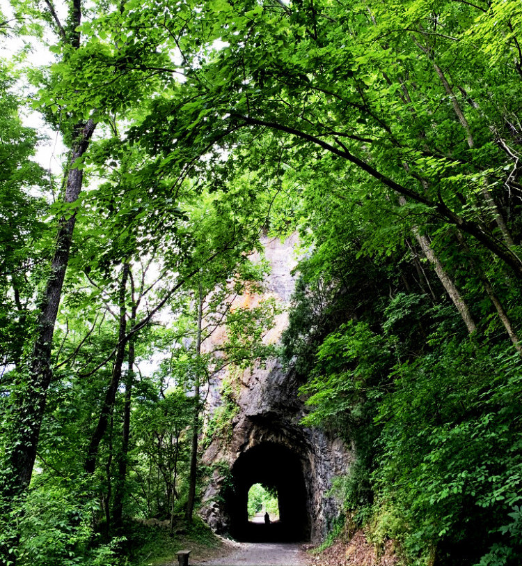 Austinville tunnel