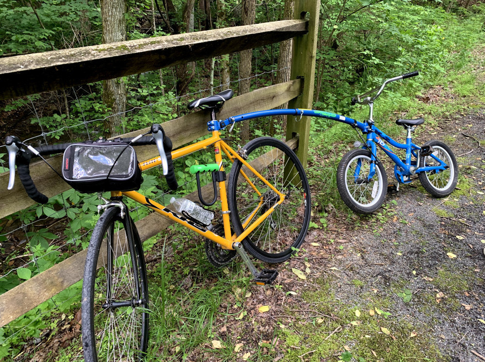 Trail Gator Bike Tow bar