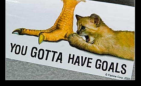 You gotta have goals