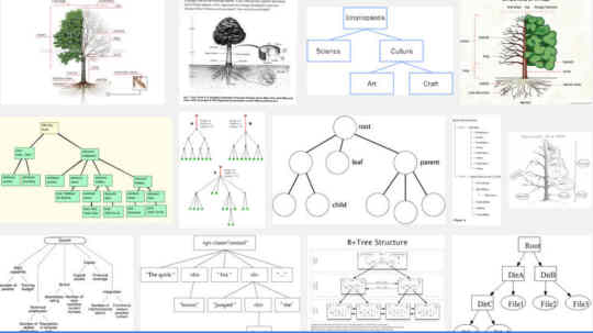 Website Name is Like a Tree