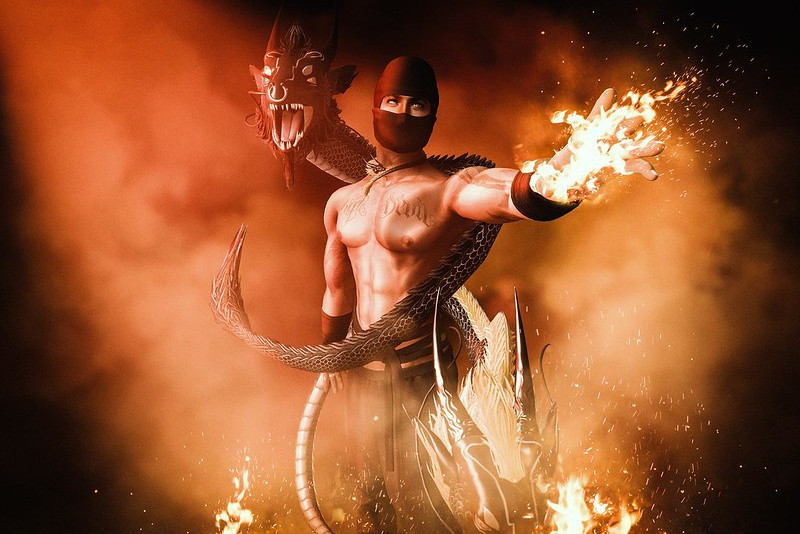 A Ninja Warrior