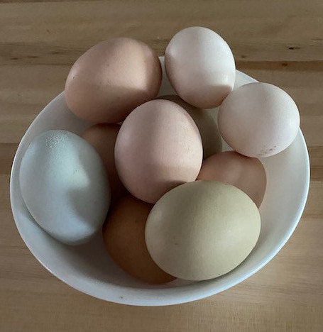 Free-Range Eggs - Chickenmethod.com