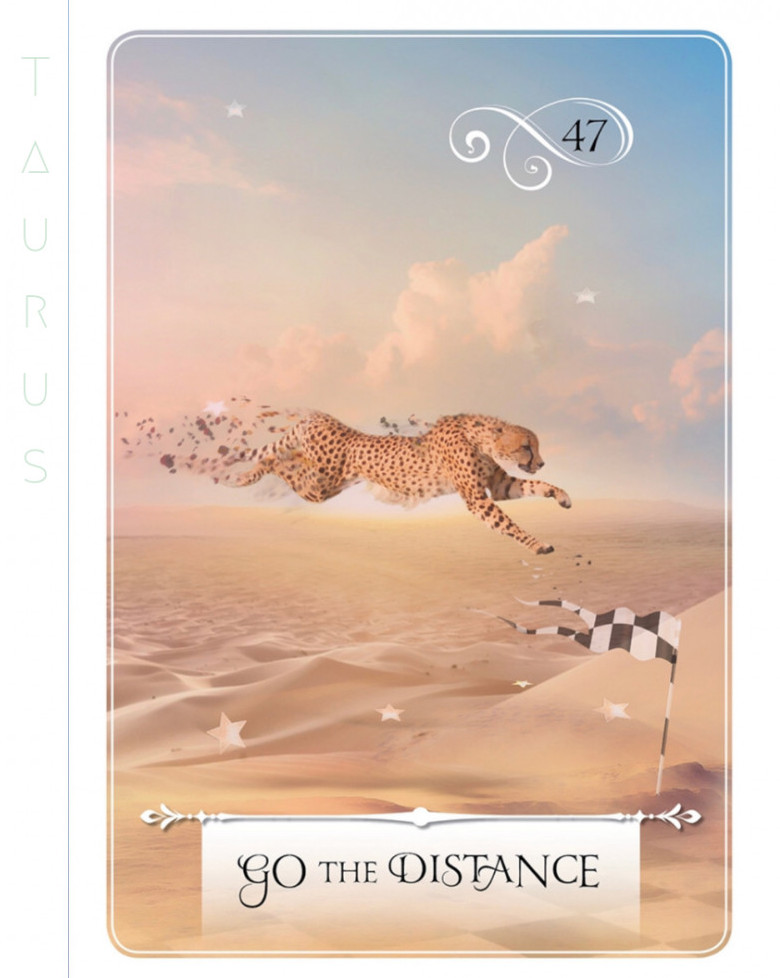 Taurus love today - Go the Distance - 11142020
