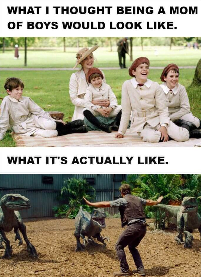 Funny Jokes About Boys Raising Boys Can be Such An Adventure The