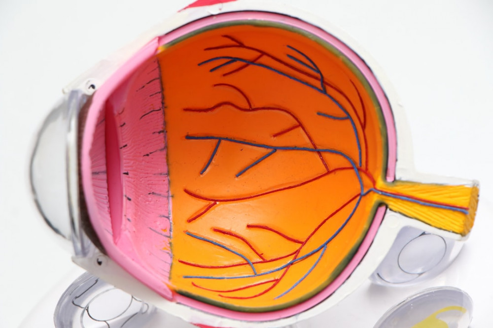 eye disease eye disease, What Vitamins Improve Eyesight