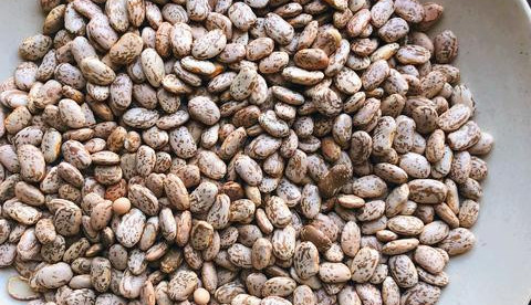 Pinto Beans Pinto Beans Are Beans Keto Friendly