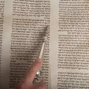 Rabbi FIshel Todd Rabbi FIshel Todd
