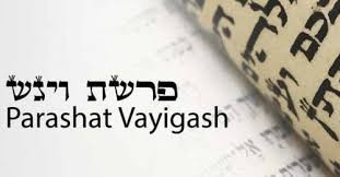 Rabbi Fishel Todd Rabbi Fishel Todd