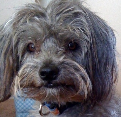 Who is Feather's Daddy?