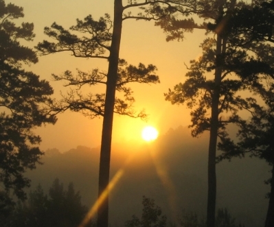 Good Morning Sunshine