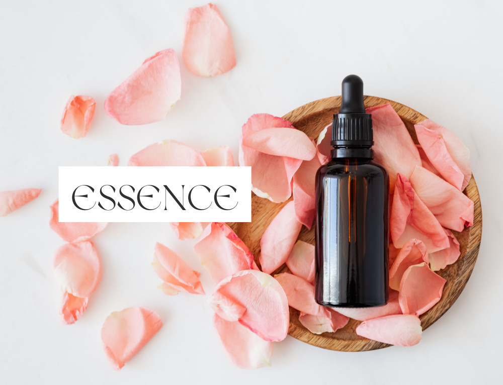 Toner vs Essence vs Serum The Differences  Skincare Solution