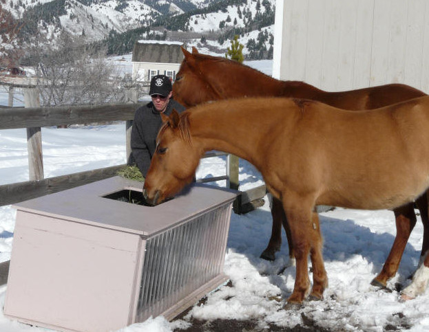 dropshipping water troughs
