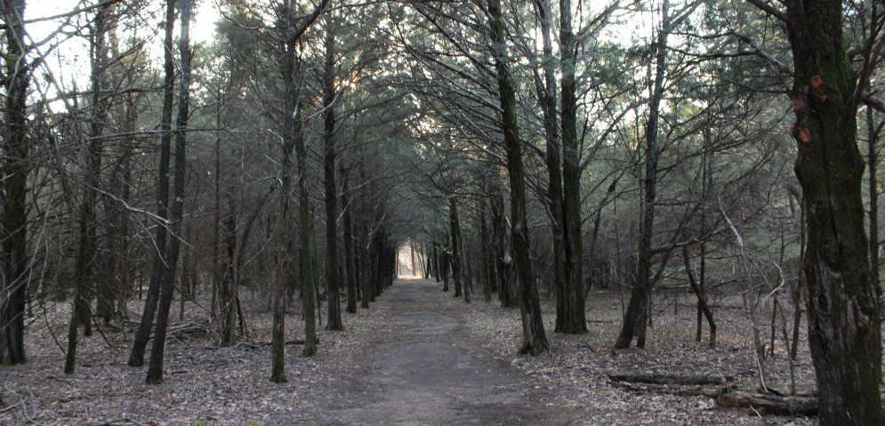 Woodland Trail