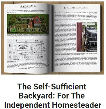 e-book