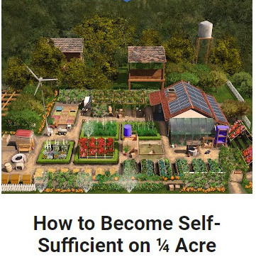 How Much Land to I need to be Self Sufficient
