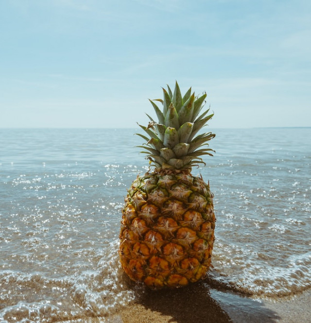 Hawaiian Golden Pineapple On the beach