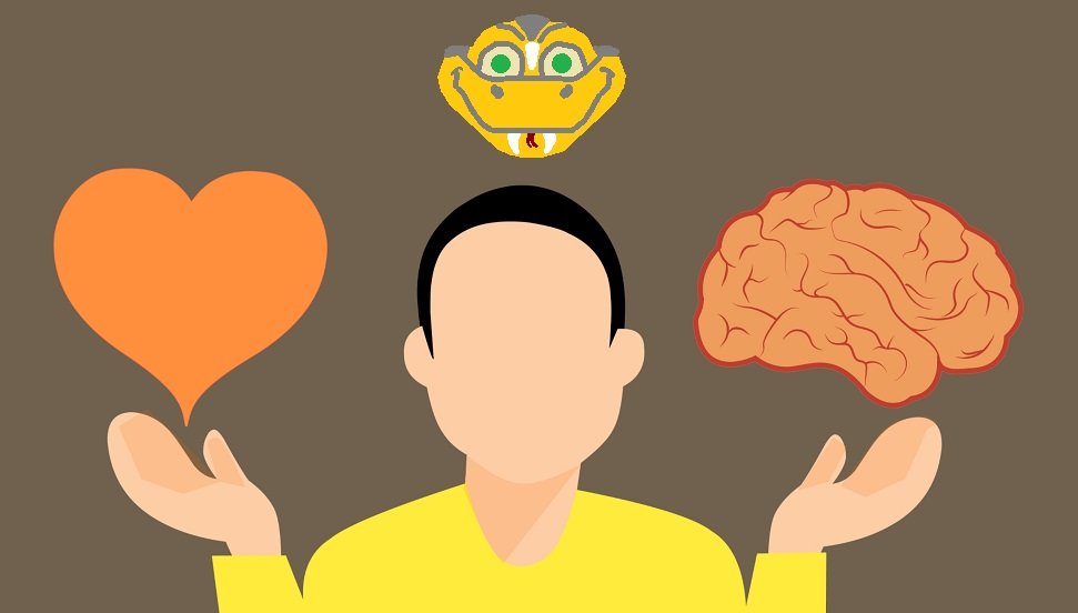 How do you attract attention?