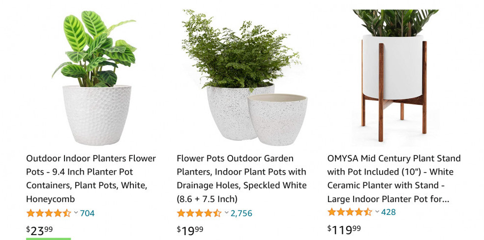 Indoor Plants Niche Site Idea