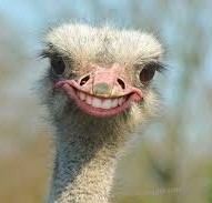 Yup, I see myself here...