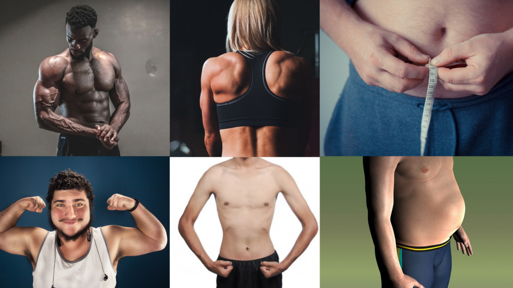 workouts for different body types