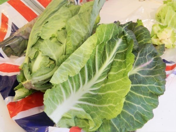 Collard Greens on the Table