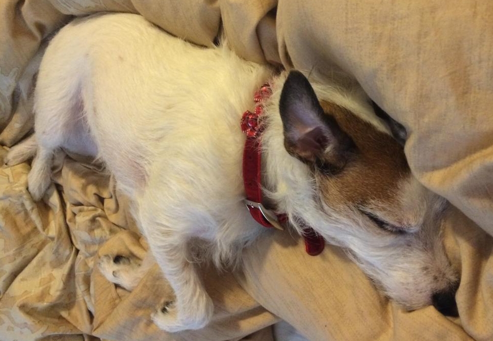 I hate punch line, they bore me