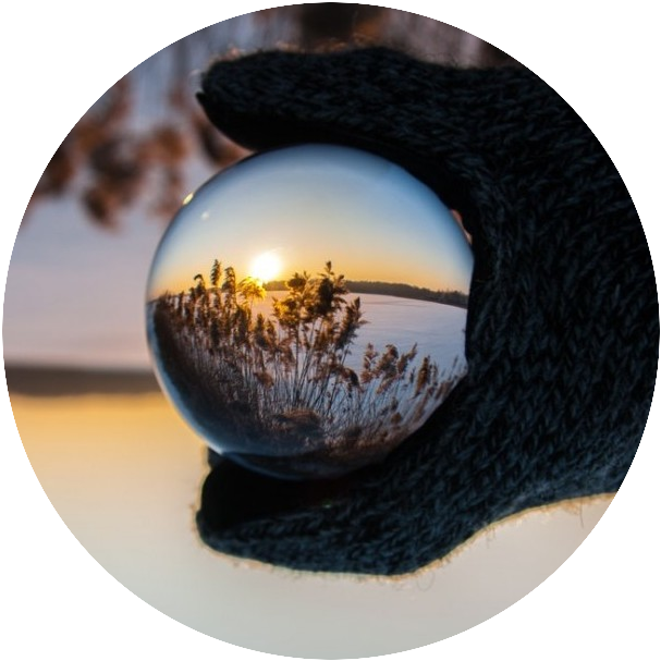 Only Dreamed of This