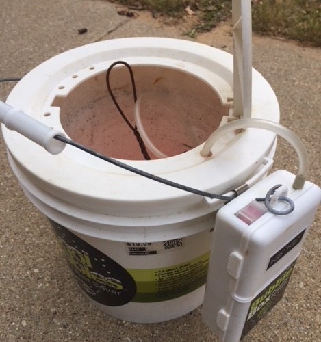 insulated minnow bucket with aerator