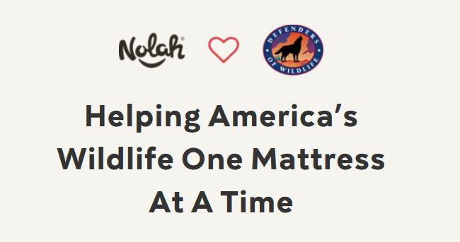 adopt an animal with every nolah mattress purchase