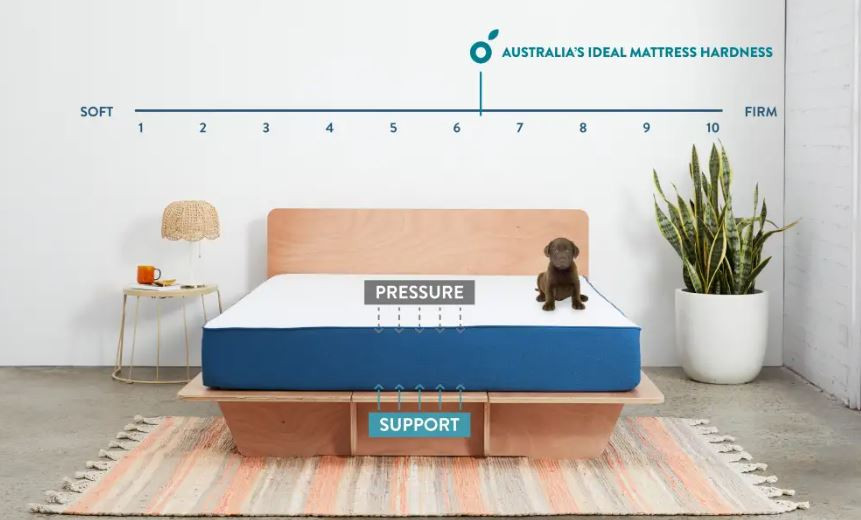 Koala Mattress Firmness